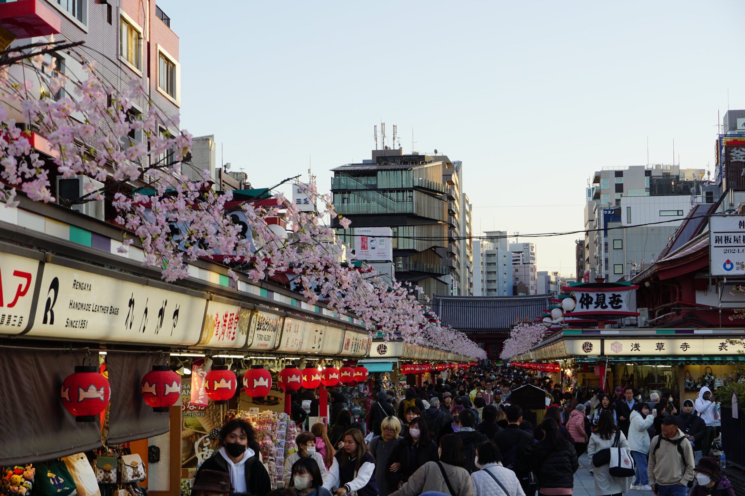 8 jours à Tokyo : nos impressions