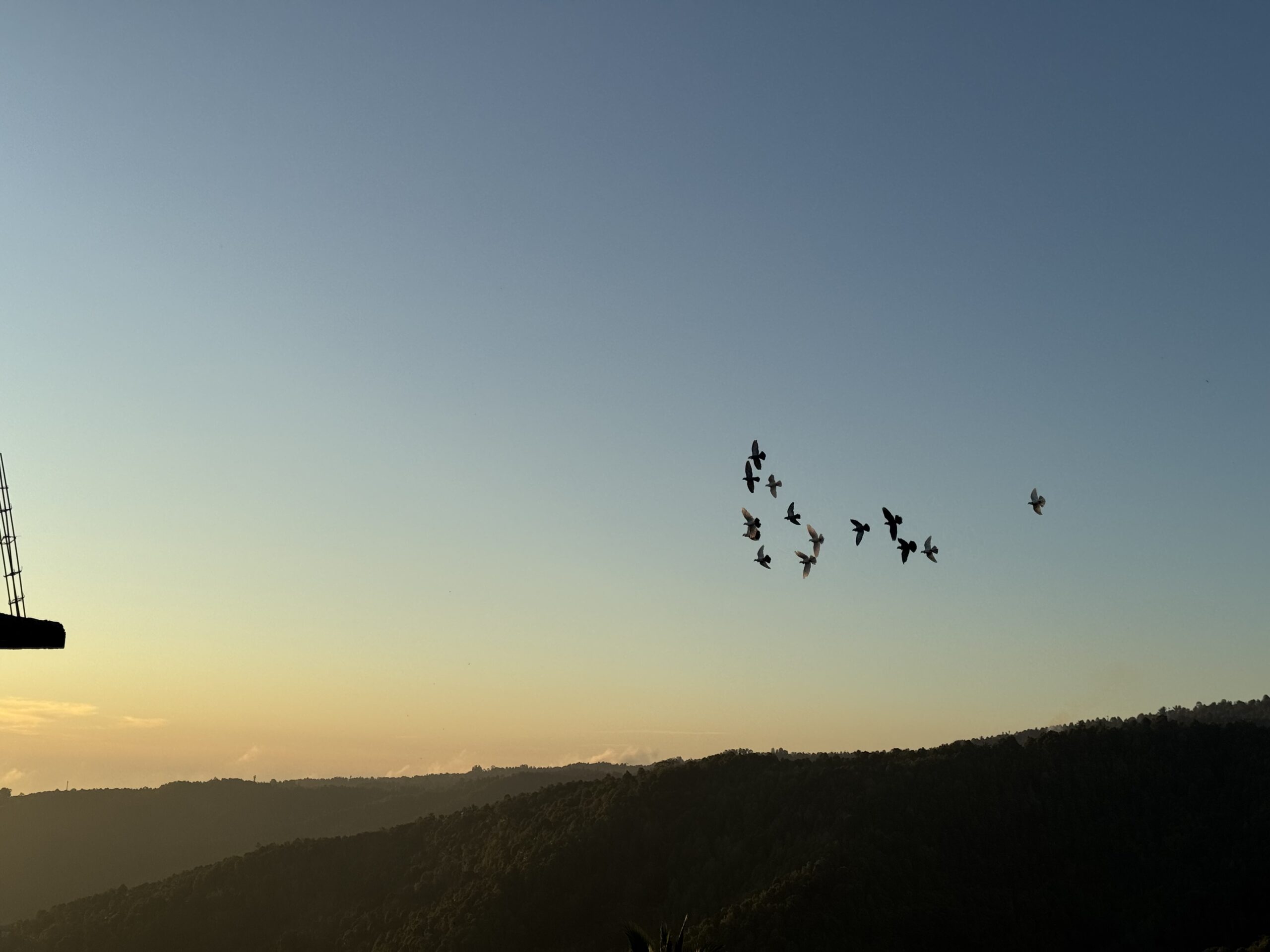 Le matin où le ciel s’est mis à siffler