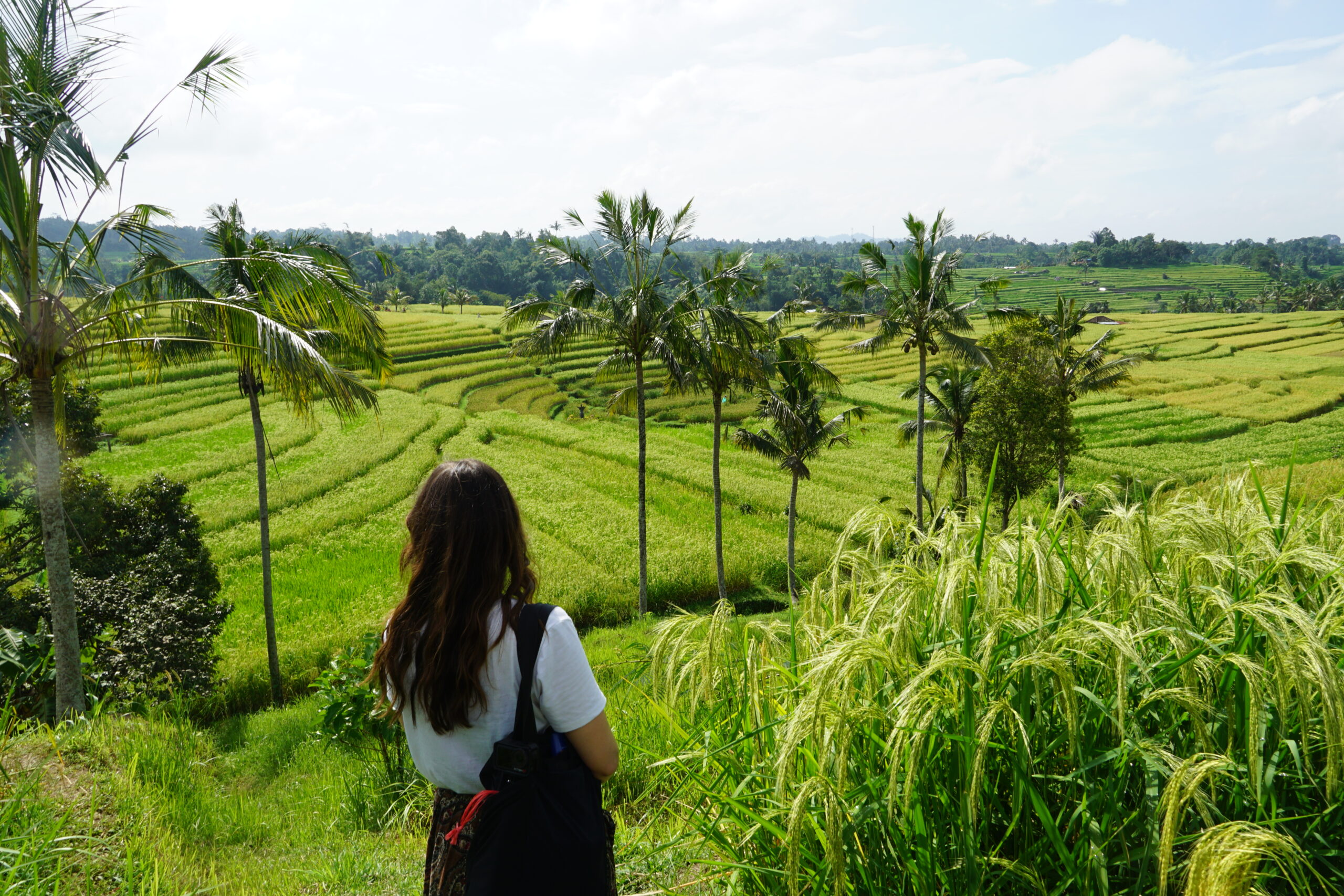 Les mille et une péripéties de Bali, ou le truc ultime pour demeurer zen face à l’imprévu