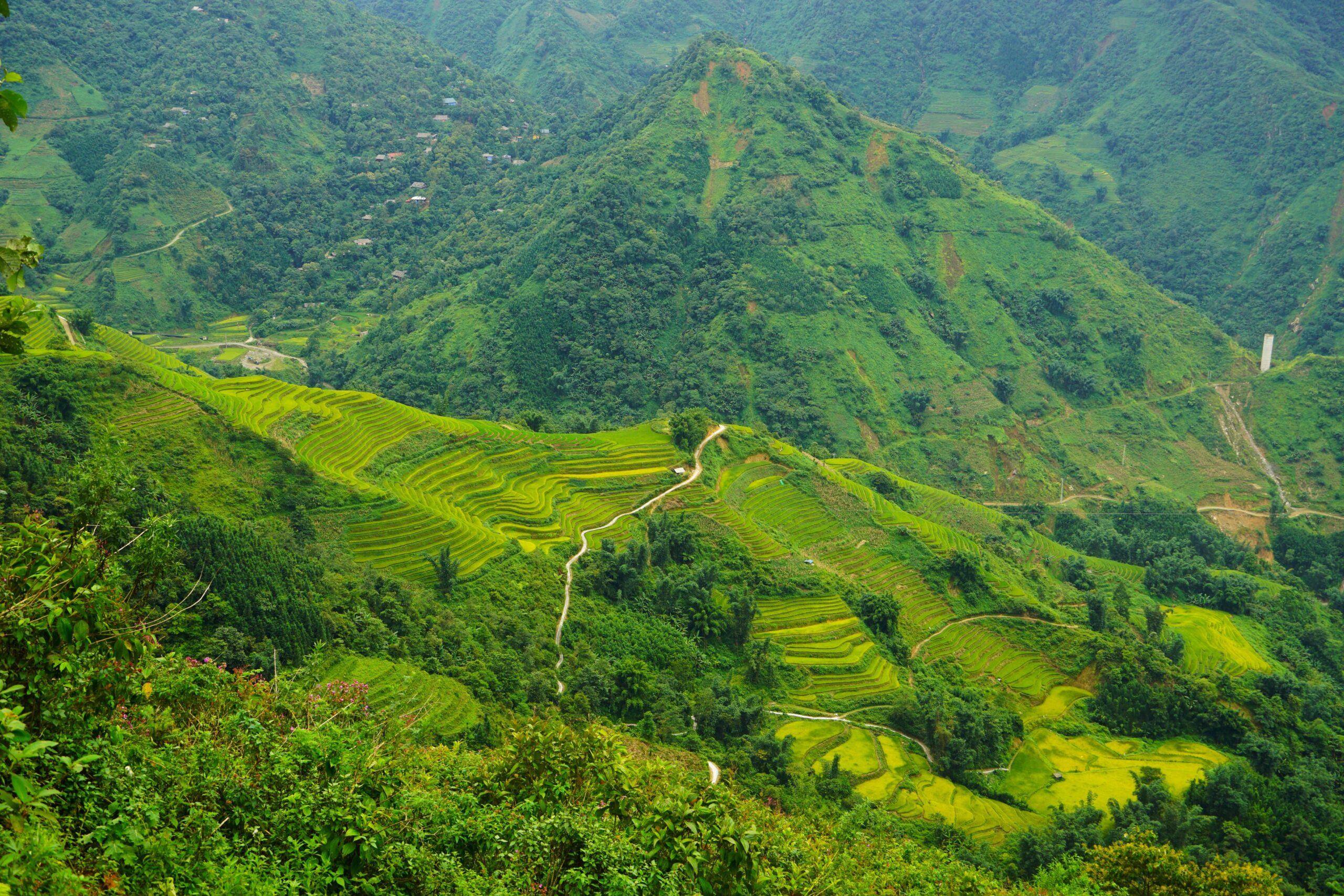 La soirée où on a soupé chez une famille vietnamienne