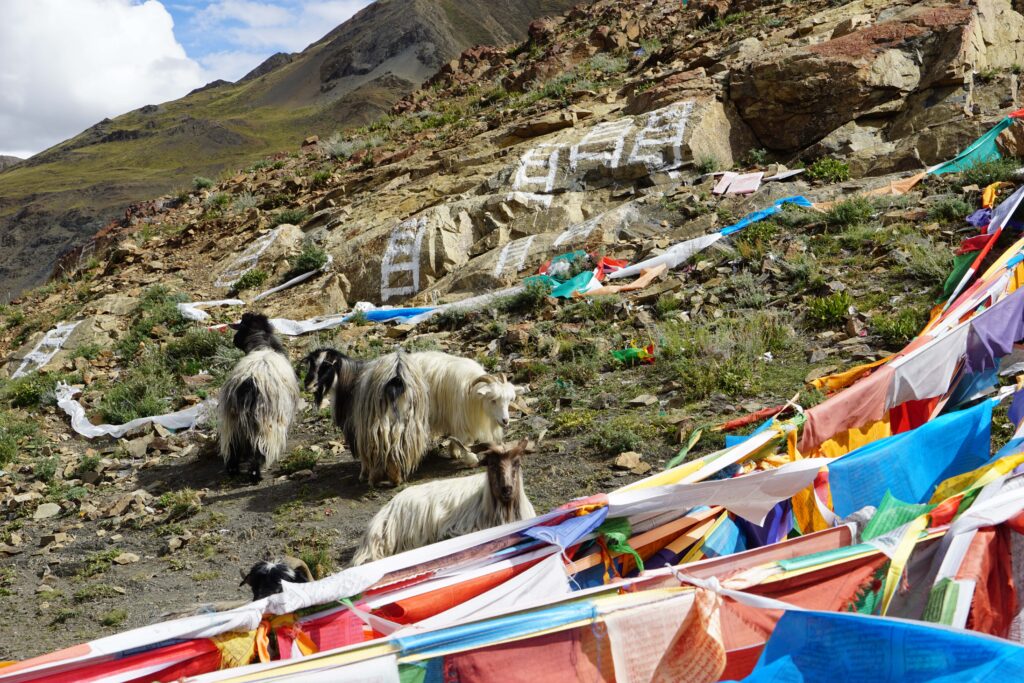 7 jours au Tibet : récit d’un roadtrip sur le toit du monde